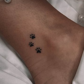 dogs paw-887719595