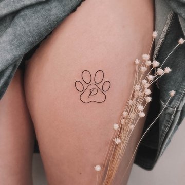 dogs paw-89545563743