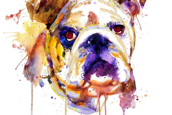english-bulldog-head-marian-voicu.jpg
