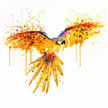 flying-parrot-watercolor-marian-voicu