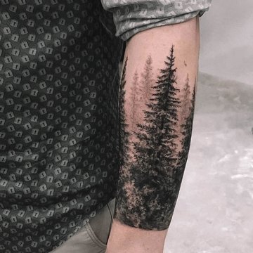 forest--15