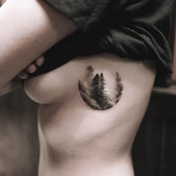 forest--4