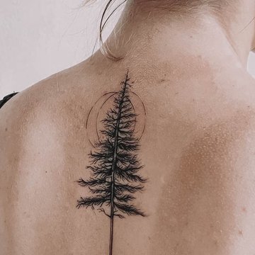 forest--5