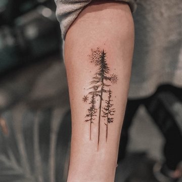 forest--8