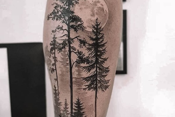 forest-