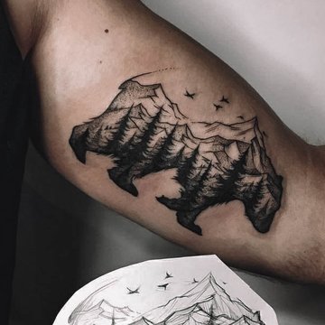 forest-663