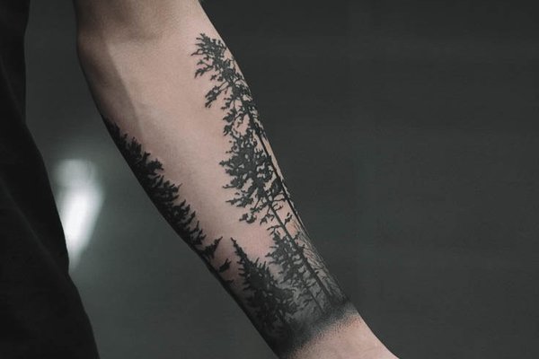 forest-9