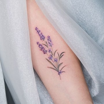 ghsadaswdfghgfh (16)