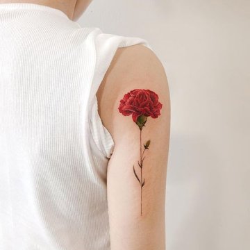 hjghglhdj (17)