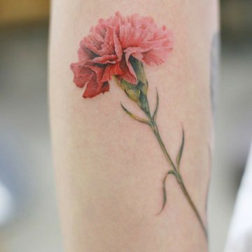 hjghglhdj (23)