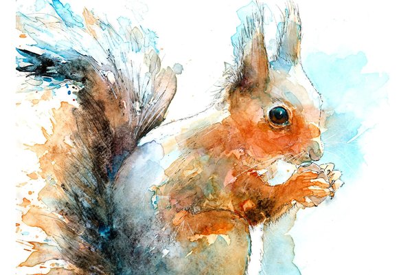 il_fullxfull.2372211840_7uu3