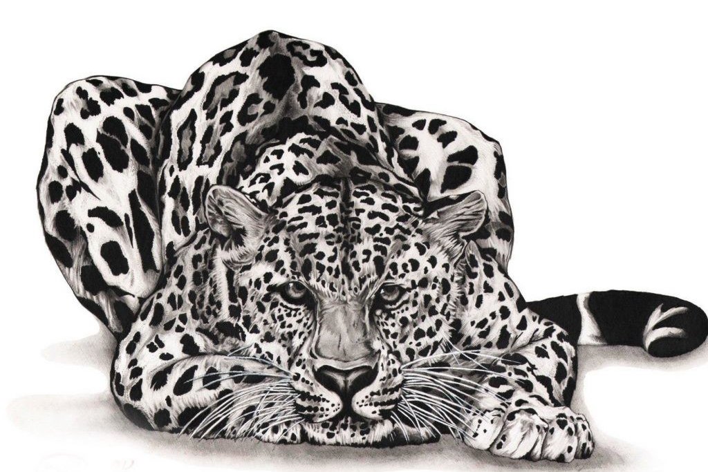 jaguar-eskiz-tattoo-0176-1024x724.jpg