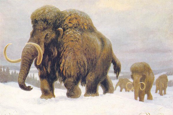 mammoth_steppe_fig1_600.jpg