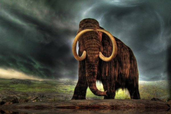 mamont-pic700-700x467-28200.jpg
