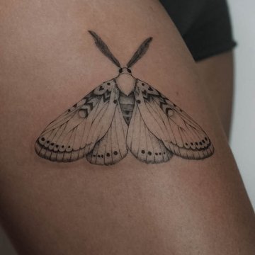 moth--10