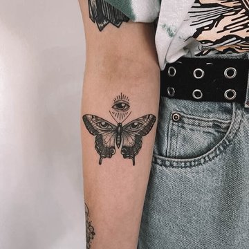 moth--11