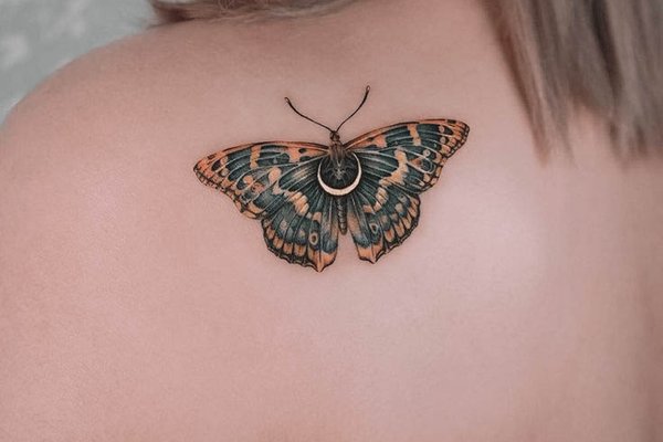 moth--14