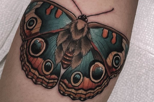 moth--18