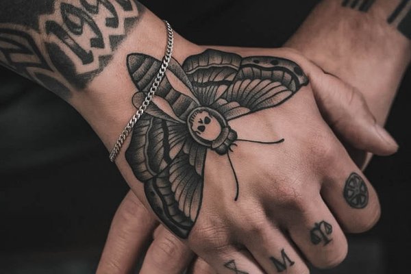 moth-1