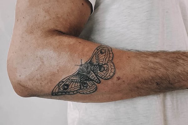 moth-6