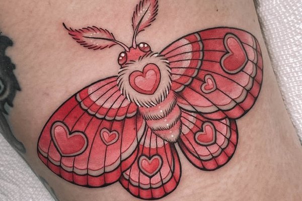 moth-63