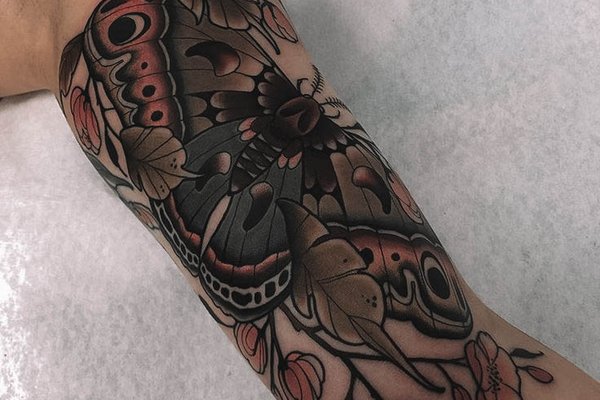 moth-7269