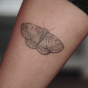 moth-832