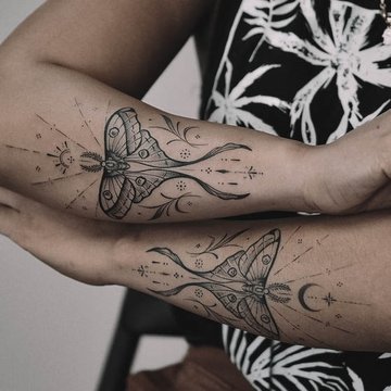 moth-838