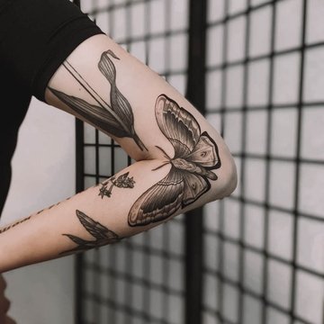 moth-9716