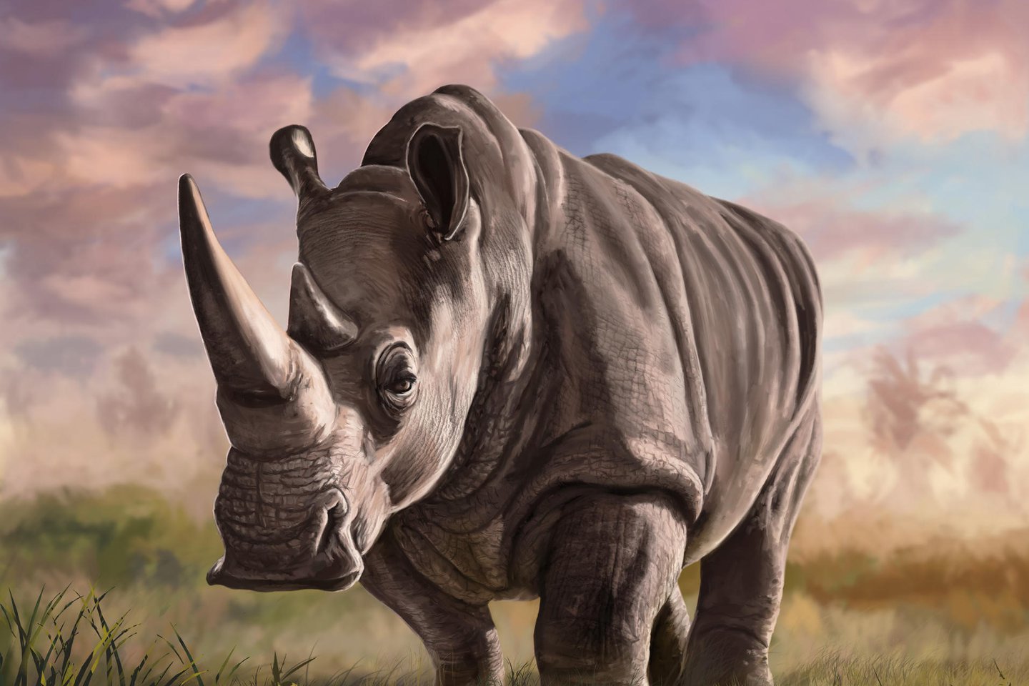 rhinoceros_digital_art__animal_study__by_officermeowmeow_ddodzay-fullview.jpg