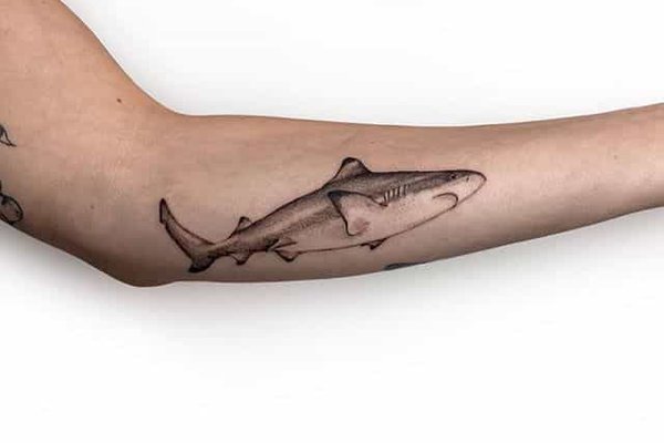 shark_tattoo_018.jpg
