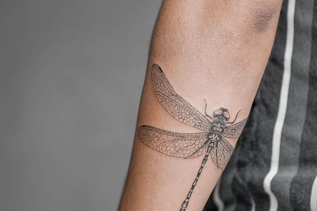significado_tatuagem_libelula_19.jpg