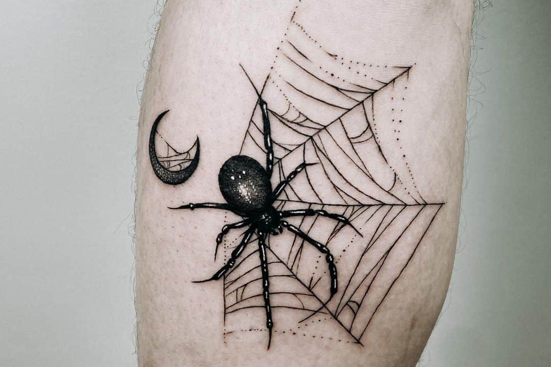 spider-web-and-the-dreamcatcher