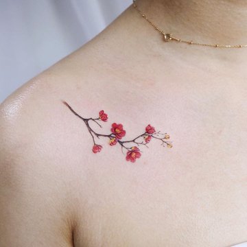tatu-sakura04.jpg