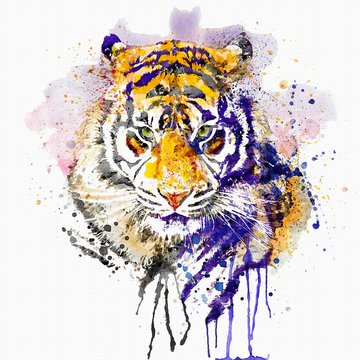 tiger-head-portrait-marian-voicu.jpg