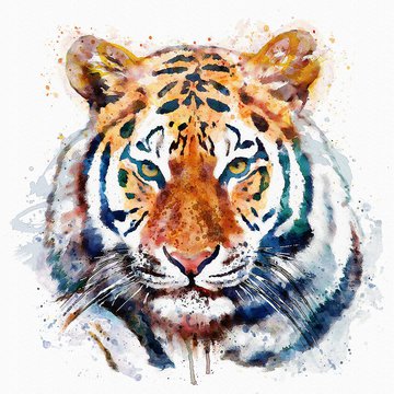 tiger-head-watercolor-marian-voicu.jpg