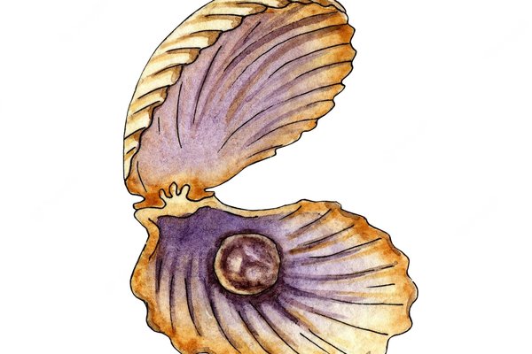 watercolor-illustration-open-seashell-with-pearl-clam-seashell-with-jewel-inside_276714-641